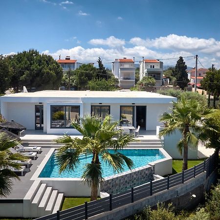 חאניה Kyamon Estate Luxury Villa מראה חיצוני תמונה