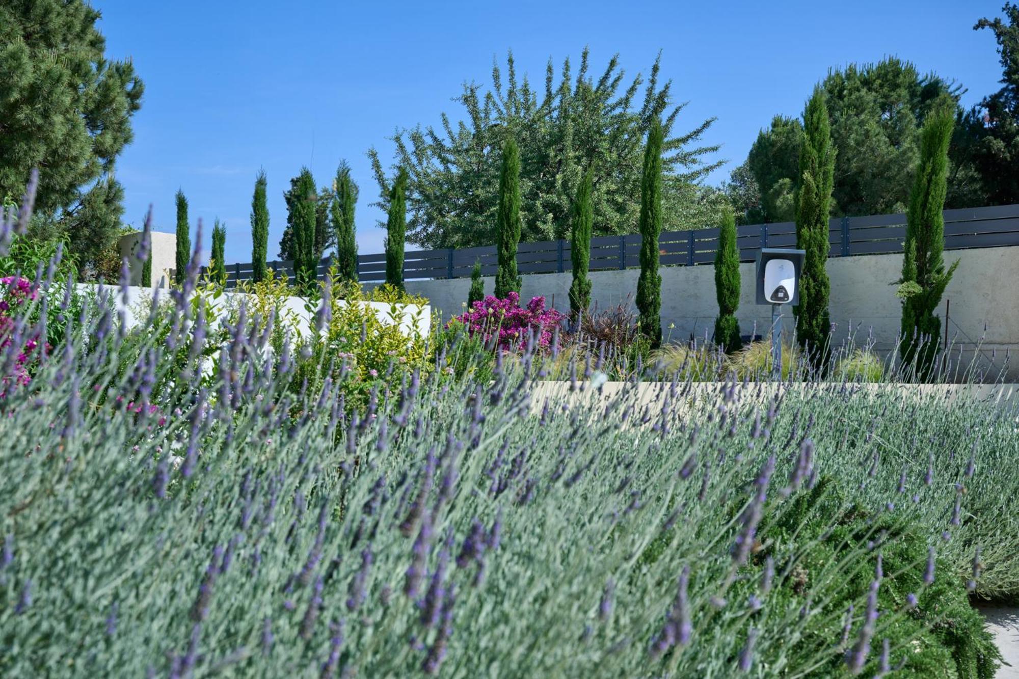 חאניה Kyamon Estate Luxury Villa מראה חיצוני תמונה